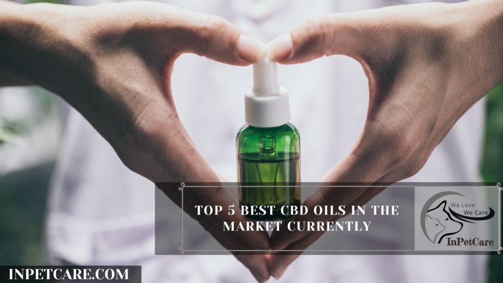 Top 5 Best CBD Oils in The Market Currently