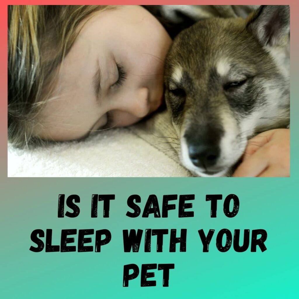 Is It Safe To Sleep With Your Pet