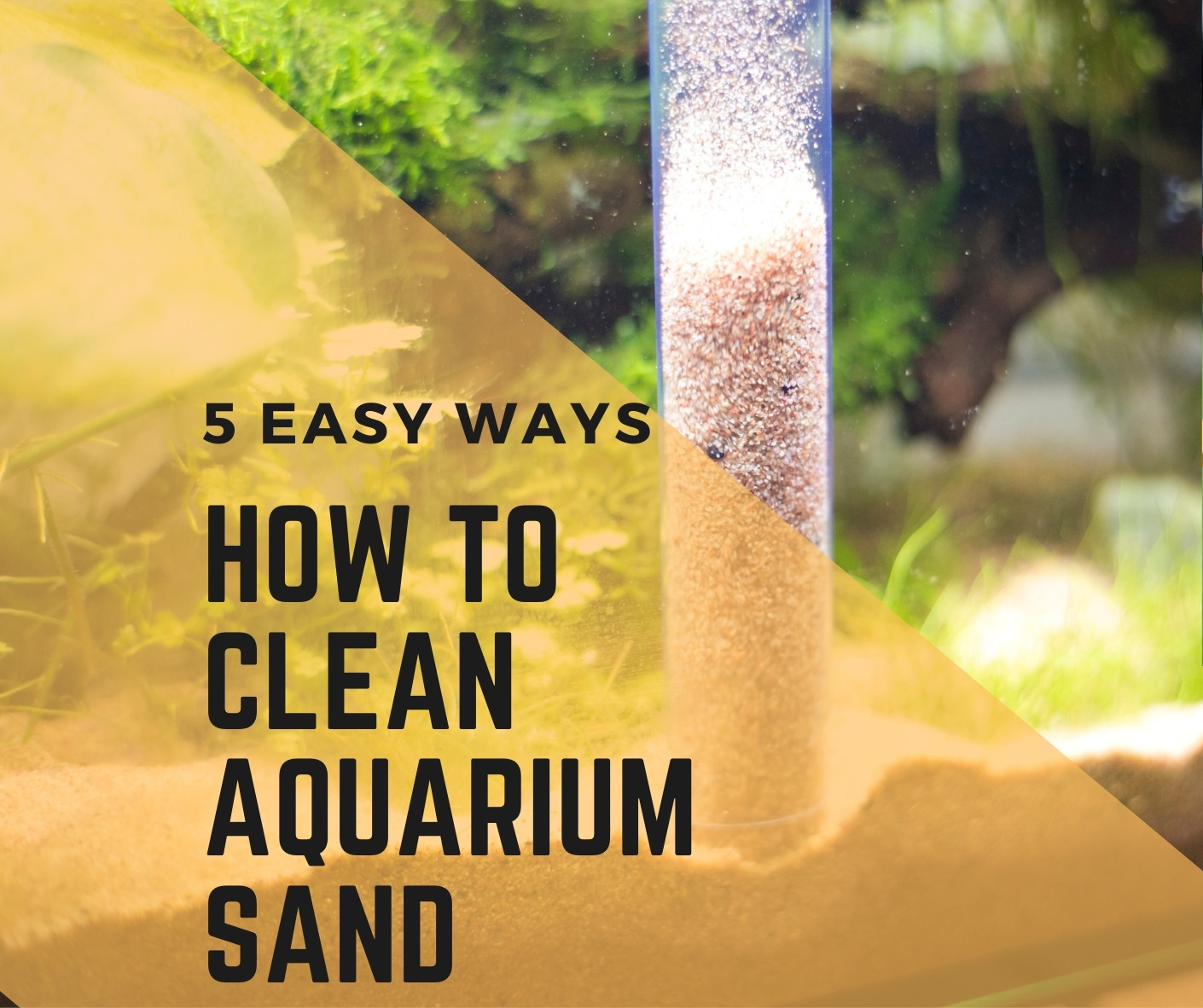 how to clean aquarium sand