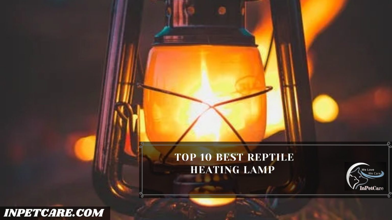 11 Best Reptile Heating Lamp To Consider