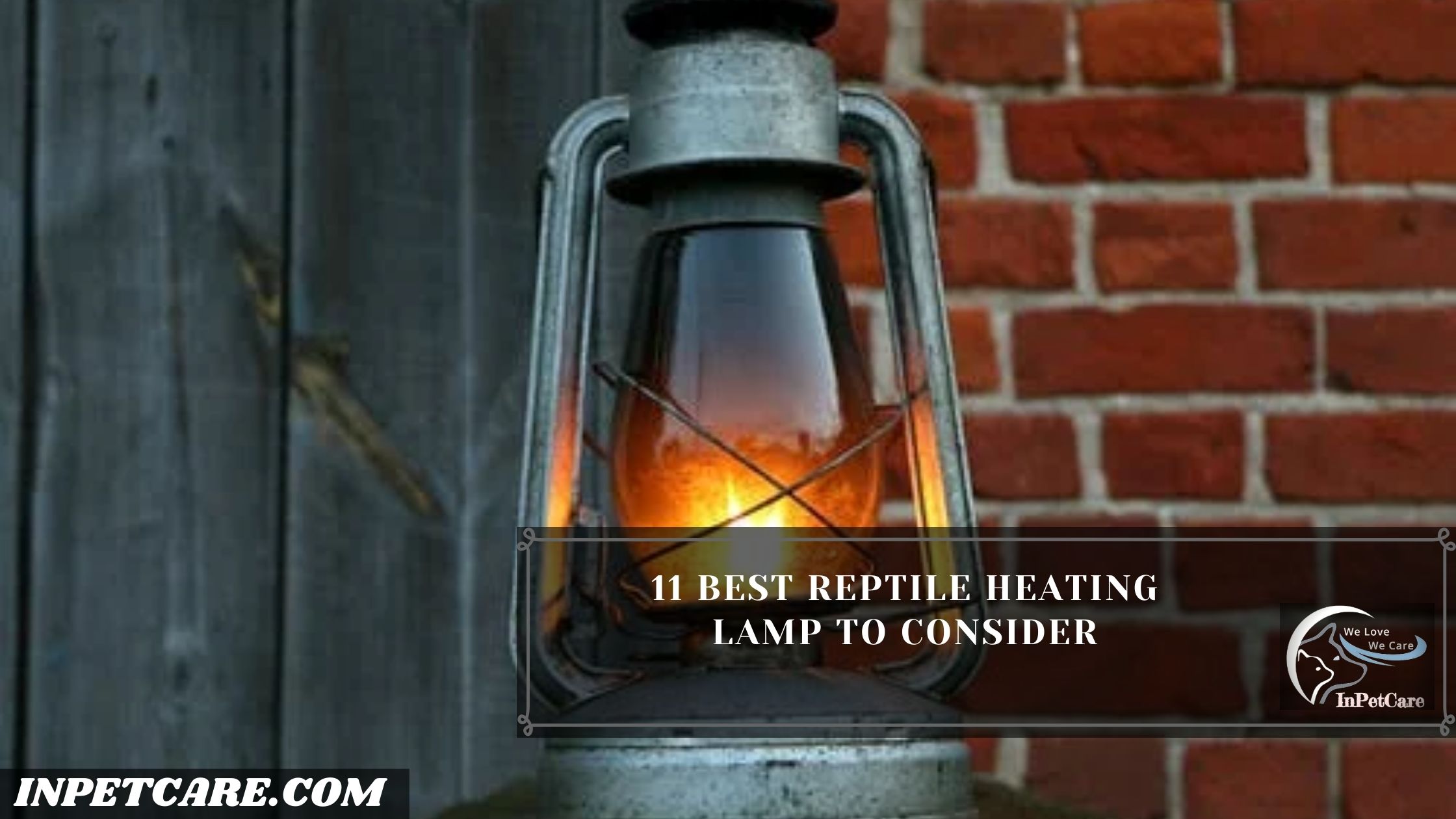 11 Best Reptile Heating Lamp To Consider