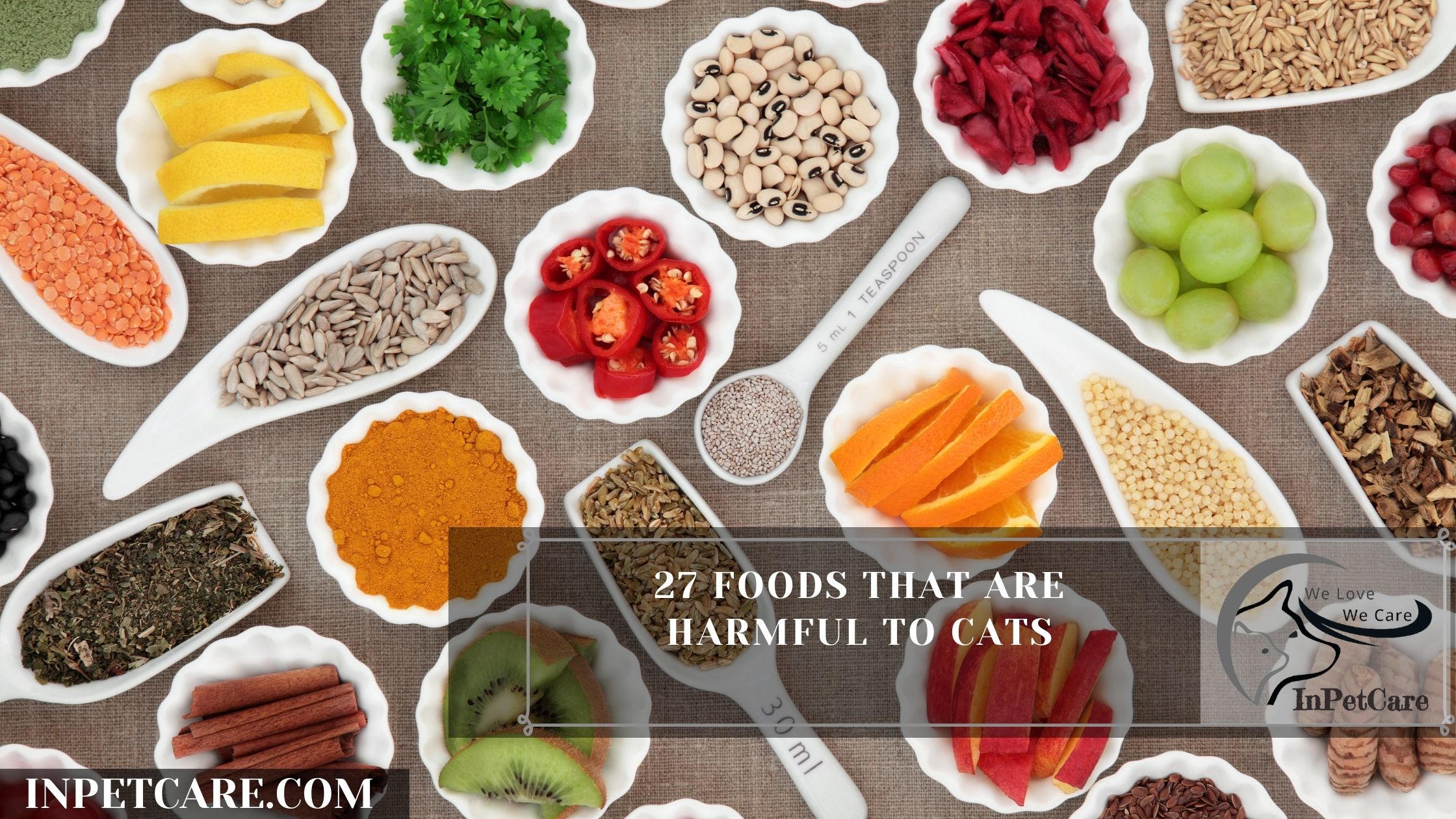 27 Foods That Are Harmful To Cats