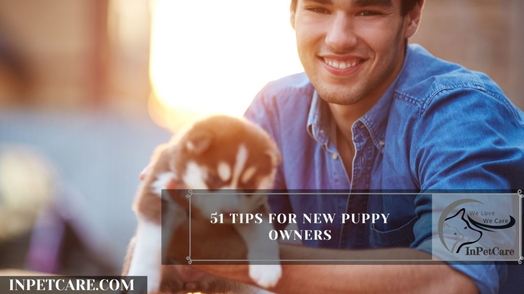 51 Tips For New Puppy Owners