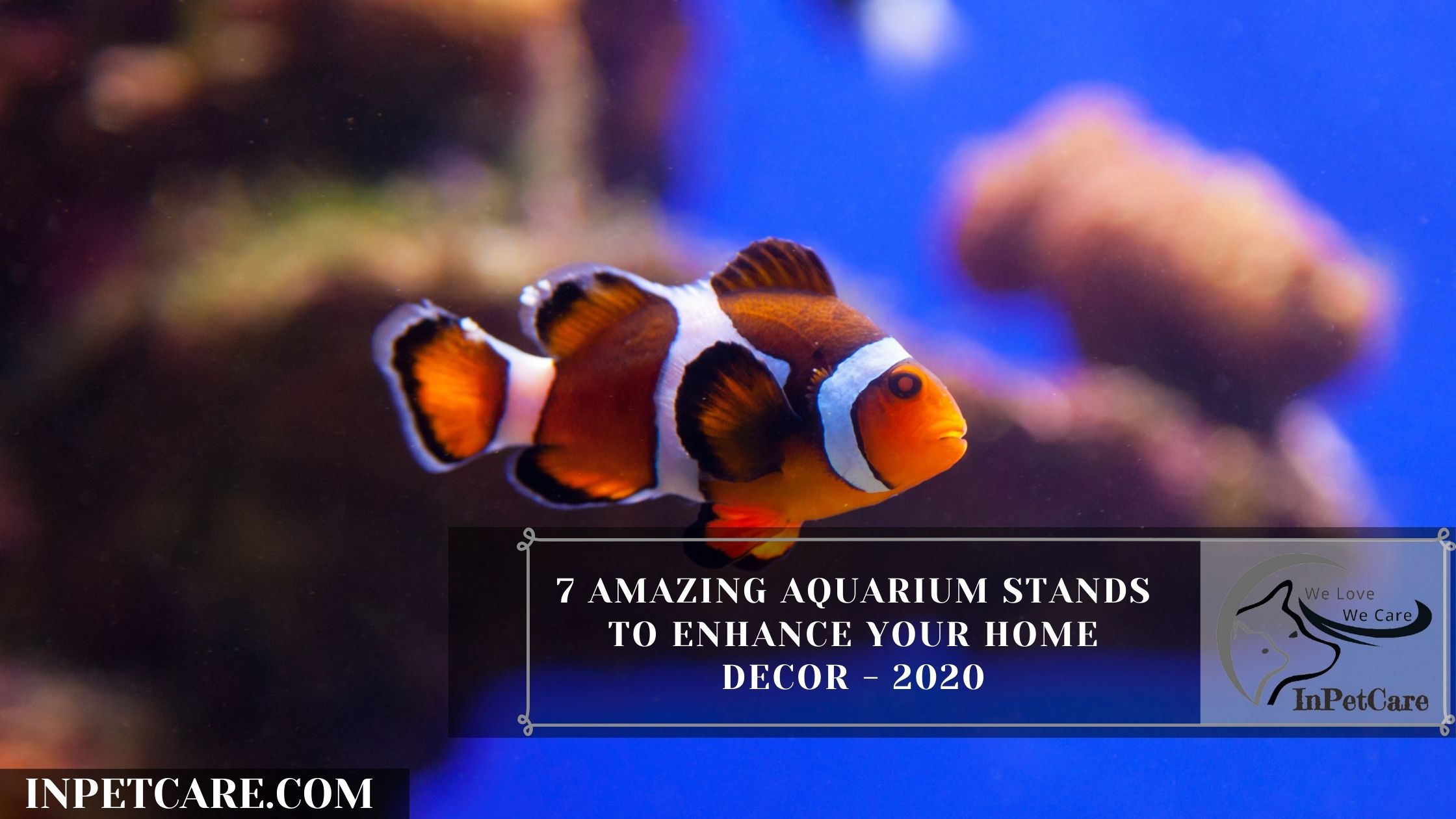 7 Amazing Aquarium Stands To Enhance Your Home Decor - 2020