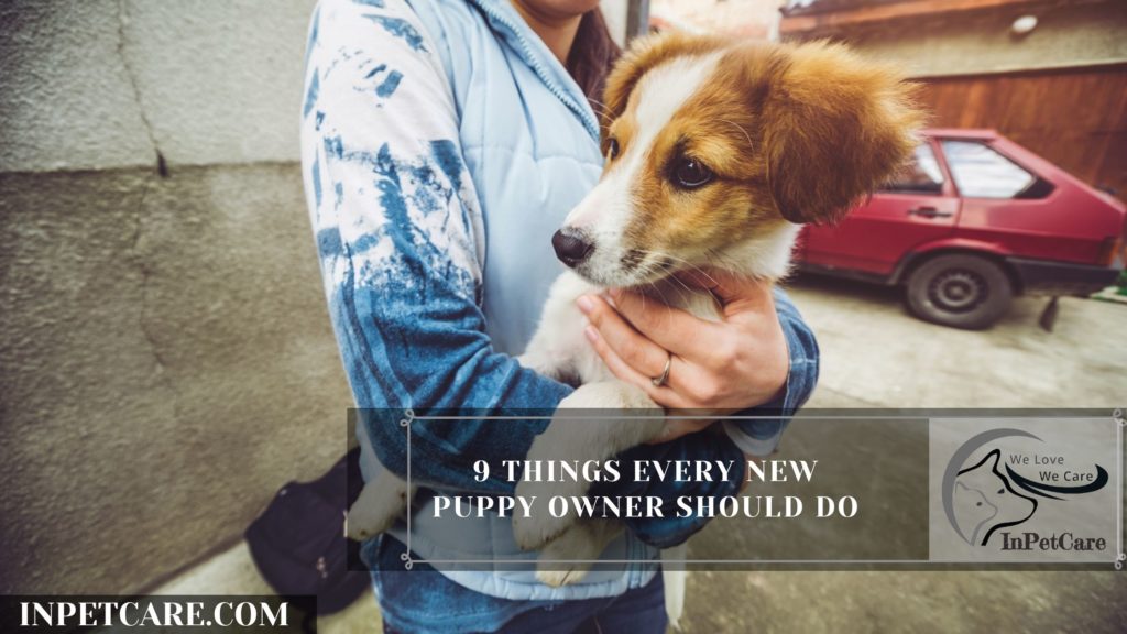 9 Things Every New Puppy Owner Should Do