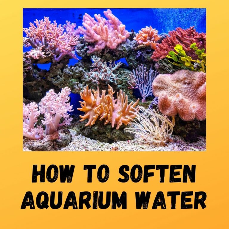How To Soften Aquarium Water (5 Easy & Effective Methods)
