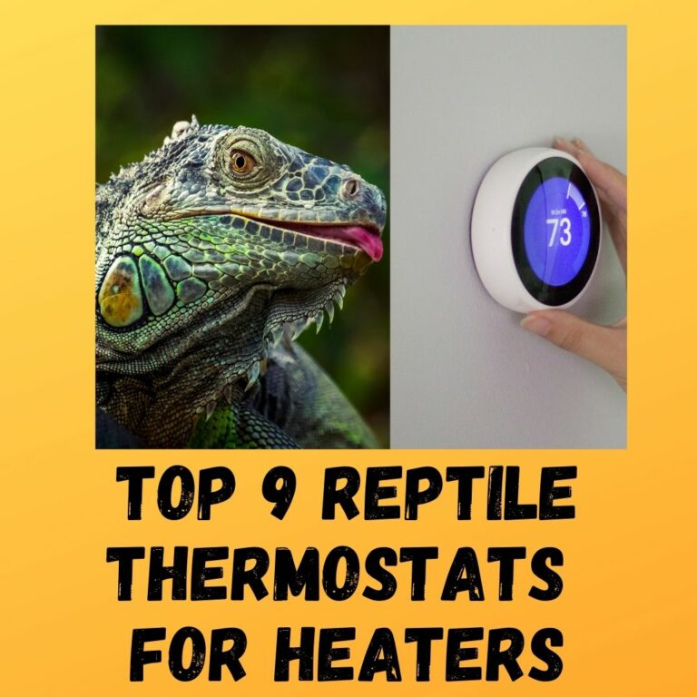 Top 9 Reliable Reptile Thermostats For Heaters
