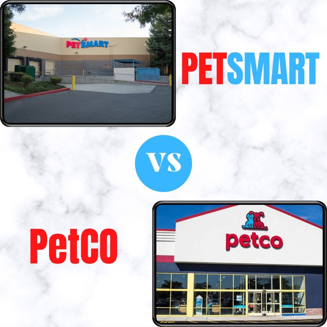 Petsmart vs Petco: Grooming, Prices Comparison, & Reviews