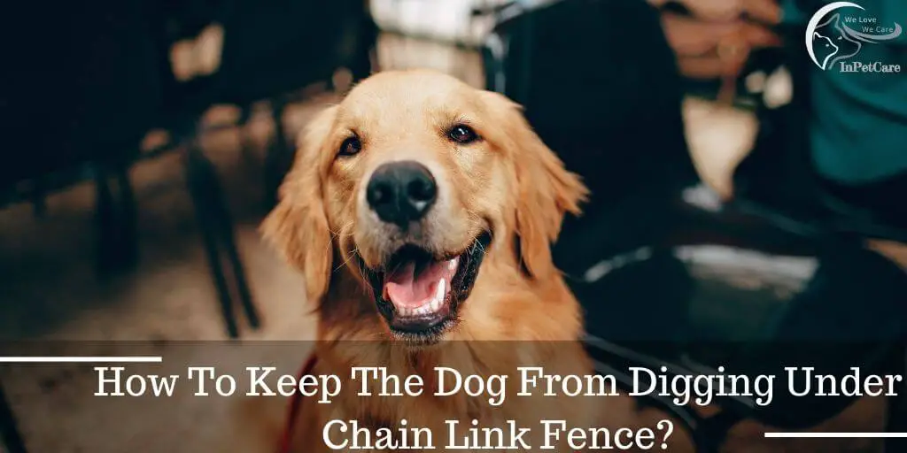 How To Keep The Dog From Digging Under Chain Link Fence?