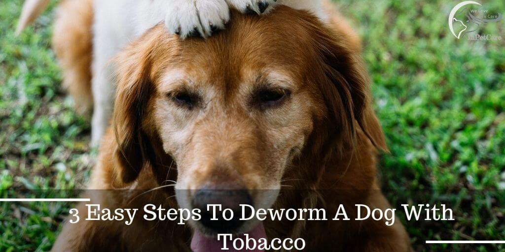 3 Easy Steps To Deworm A Dog With Tobacco
