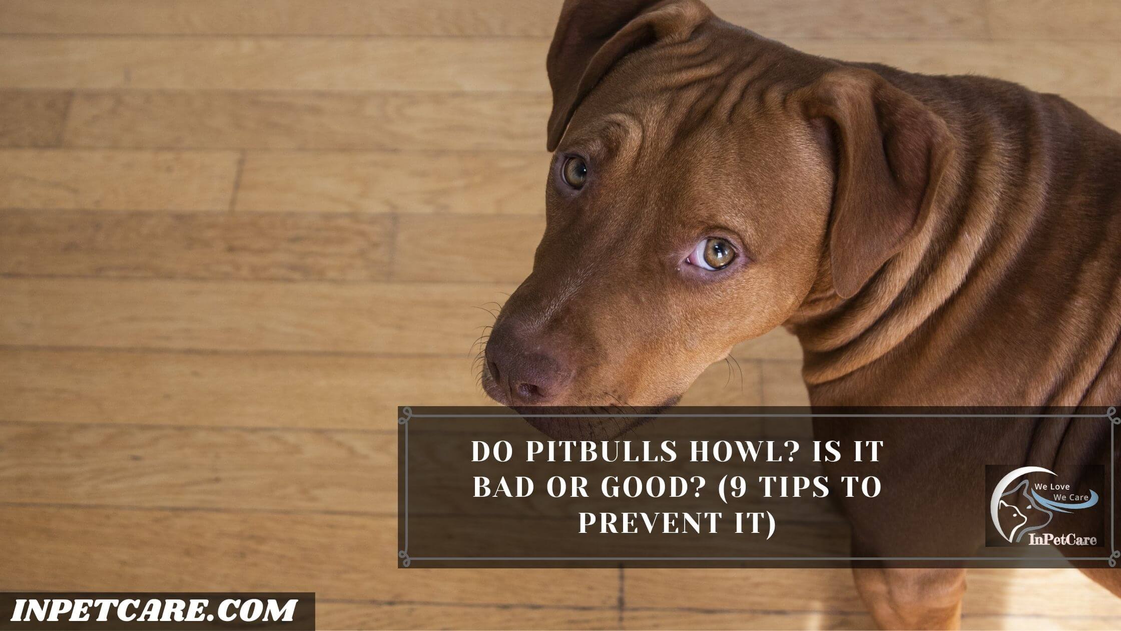 Do Pitbulls Howl? Is It Bad or Good? (9 Tips To Prevent It)