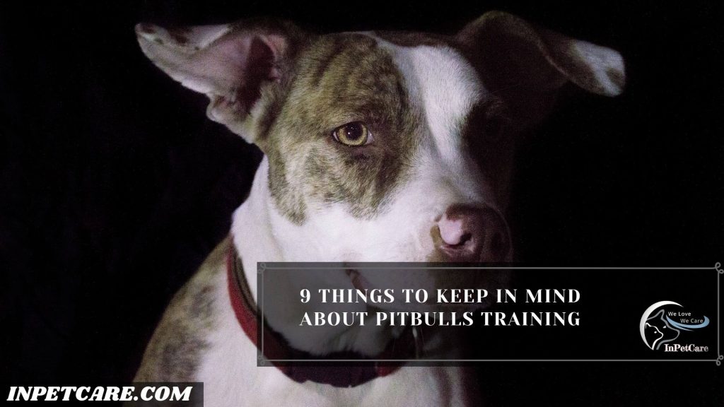 Are Pitbulls Easy To Train