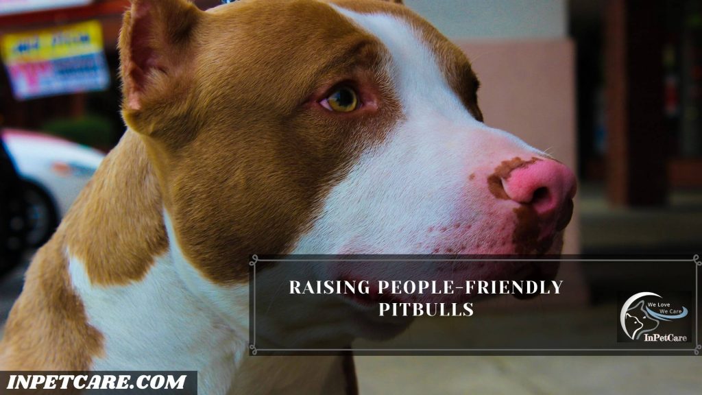 Are Pitbulls Friendly? (9 Tips To Raise A Friendly Pitbull)