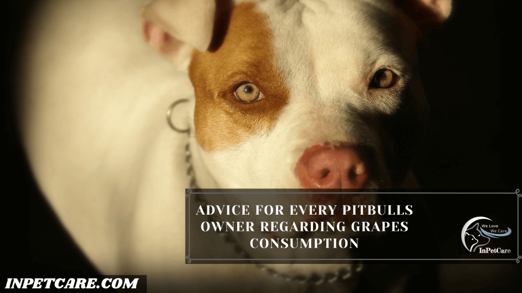 Can Pitbulls Eat Grapes & Raisins?