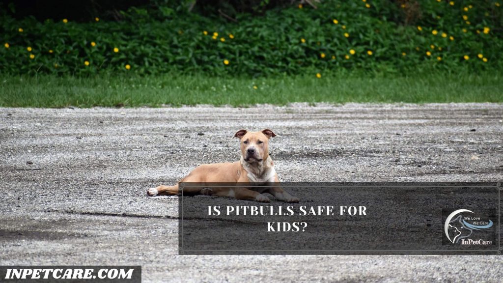 Are Pitbulls Safe