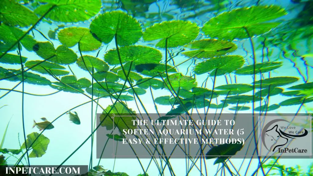 How to Soften Aquarium Water (5 Easy & Effective Methods)