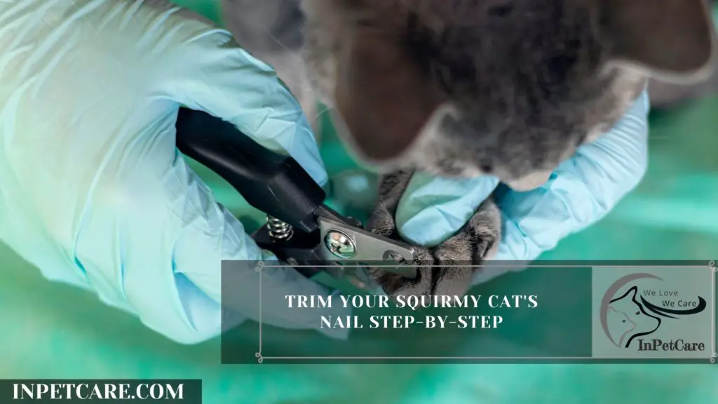 How to Trim a Squirmy Cat's Nails? A Complete Guide