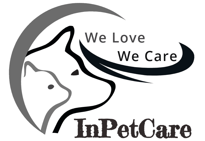Japanese Spitz Pomeranian Mix Pictures Cost Care More Japanese Spitz Pomeranian Mix Pictures Cost Care More