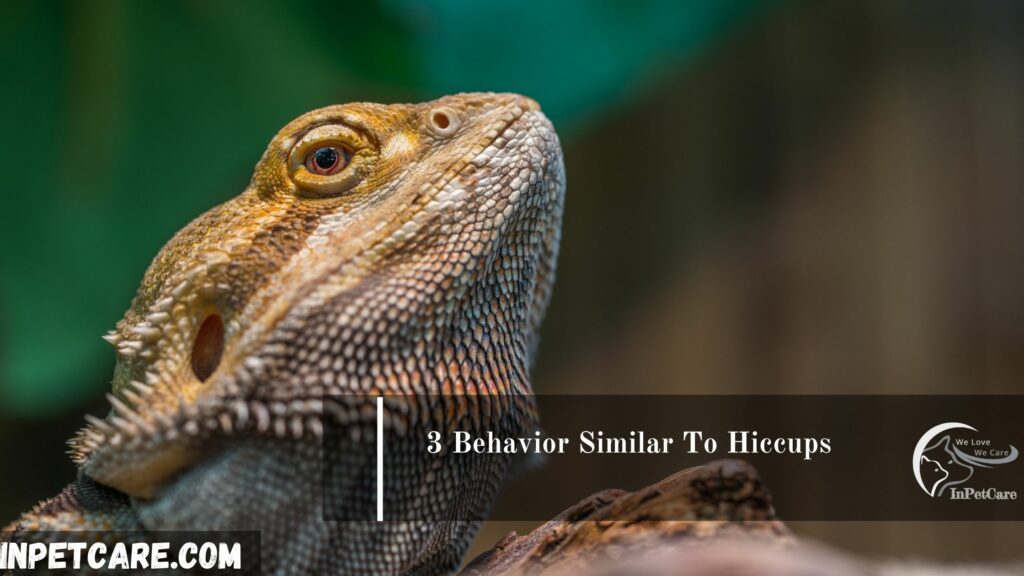 3 Behavior Similar To Hiccups