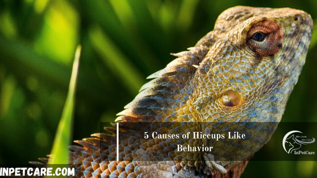 5 Causes of Hiccups Like Behavior