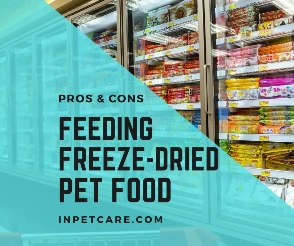 Feeding Freeze-Dried Raw Food To Your Pets+(Pros And Cons)