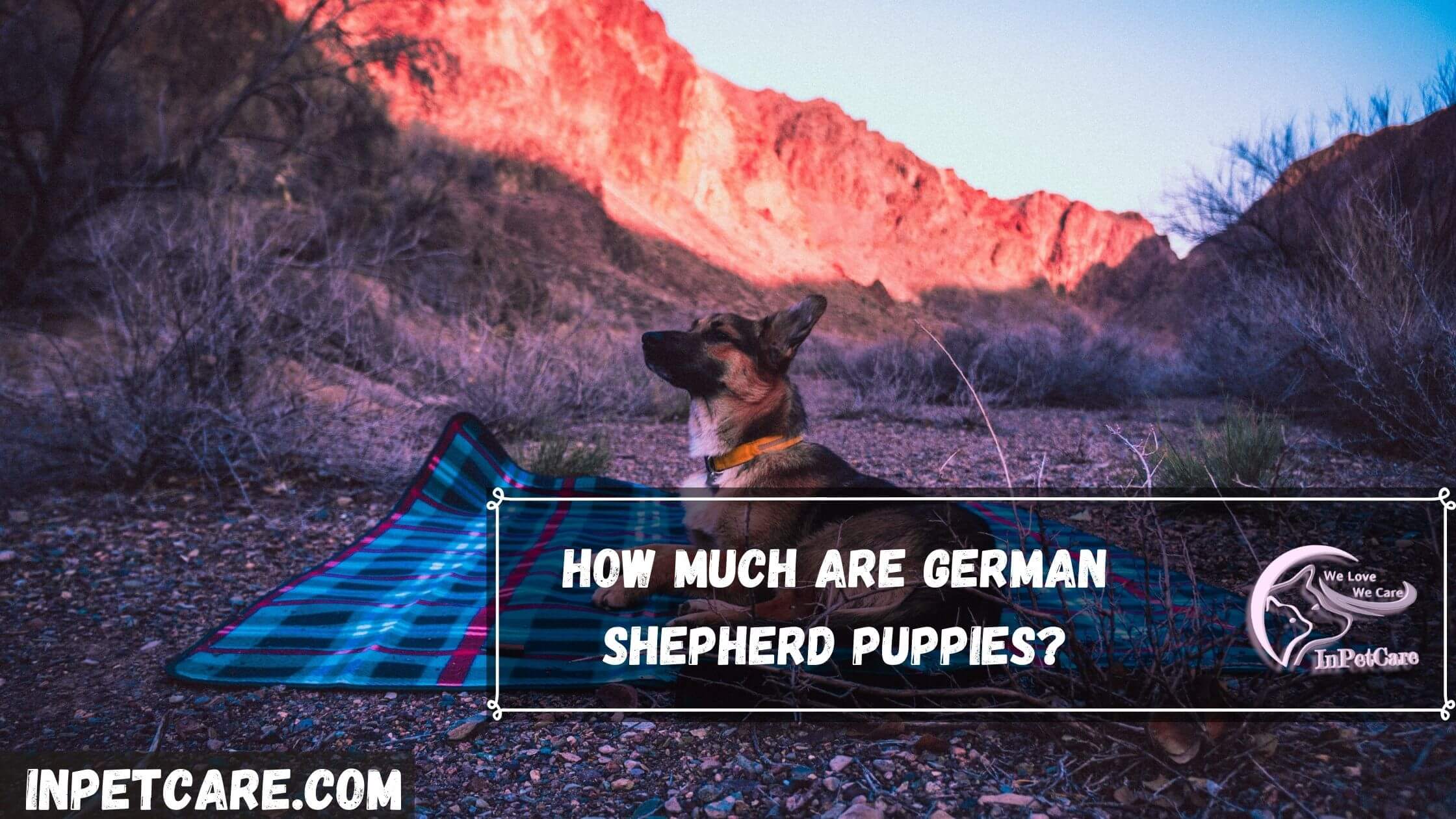 How Much Are German Shepherd Puppies?