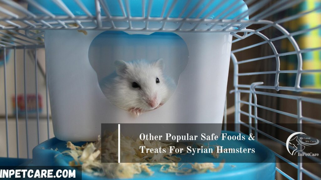 Other Popular Safe Foods & Treats For Syrian Hamsters