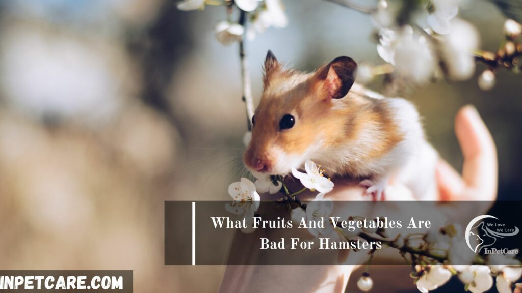 What Fruits And Vegetables Are Bad For Hamsters