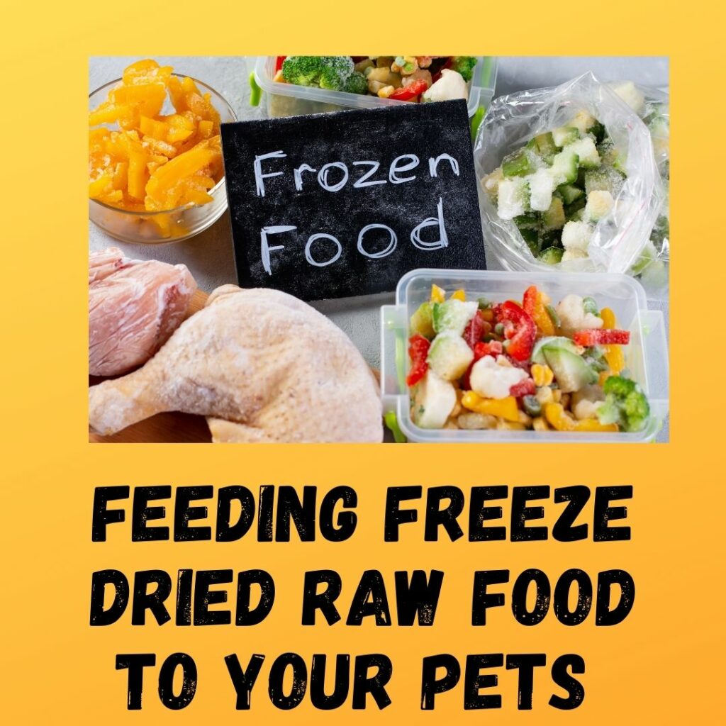 Feeding freeze dried raw food to your pets+( 5 Pros and Cons)