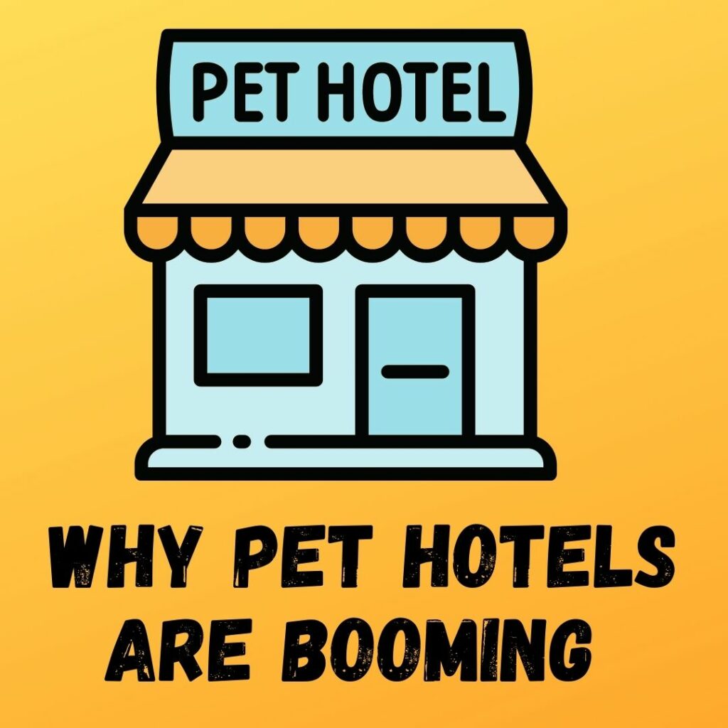 Why Pet Hotels are Booming