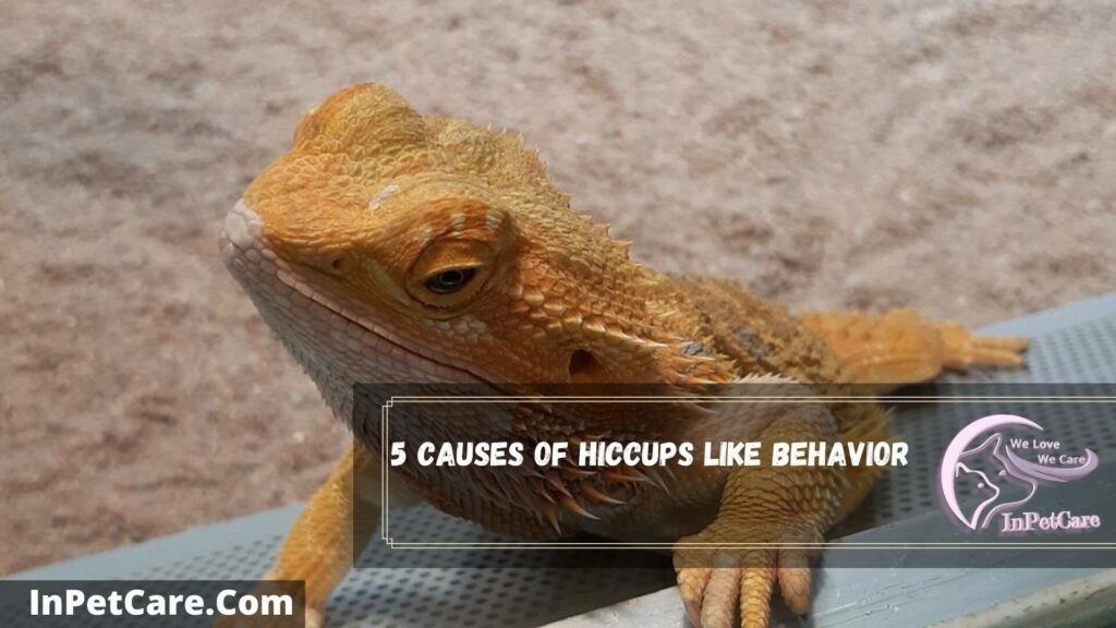 5 causes of hiccups like behavior