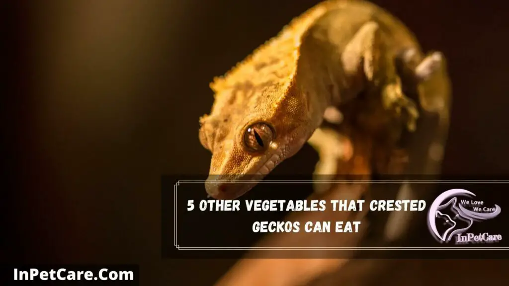 5 other vegetables that crested geckos can eat