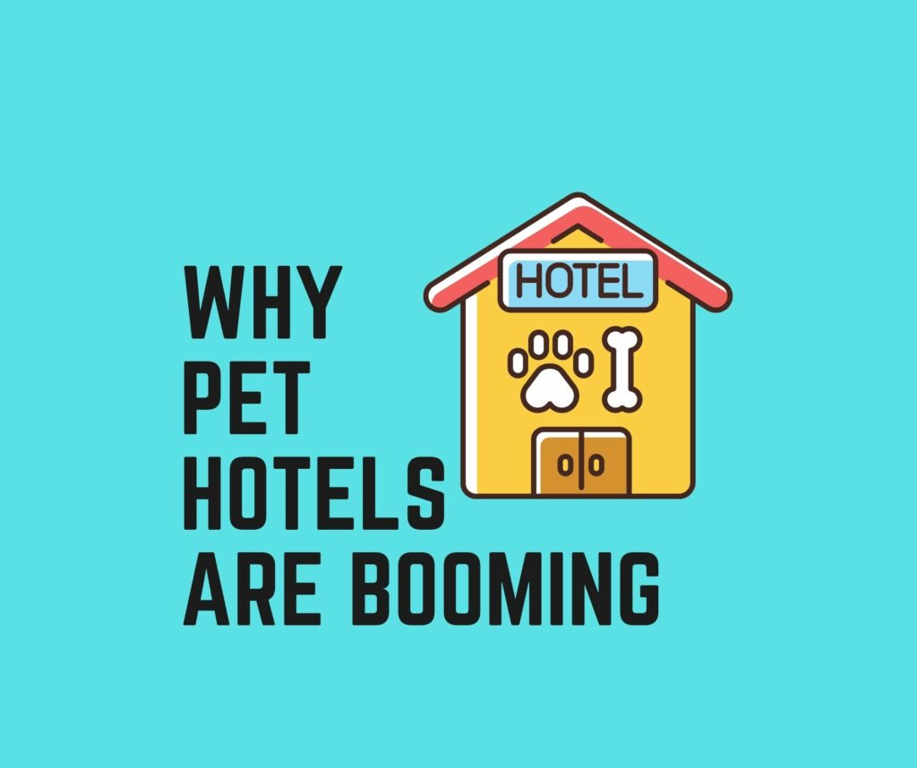 Why Pet Hotels are Booming