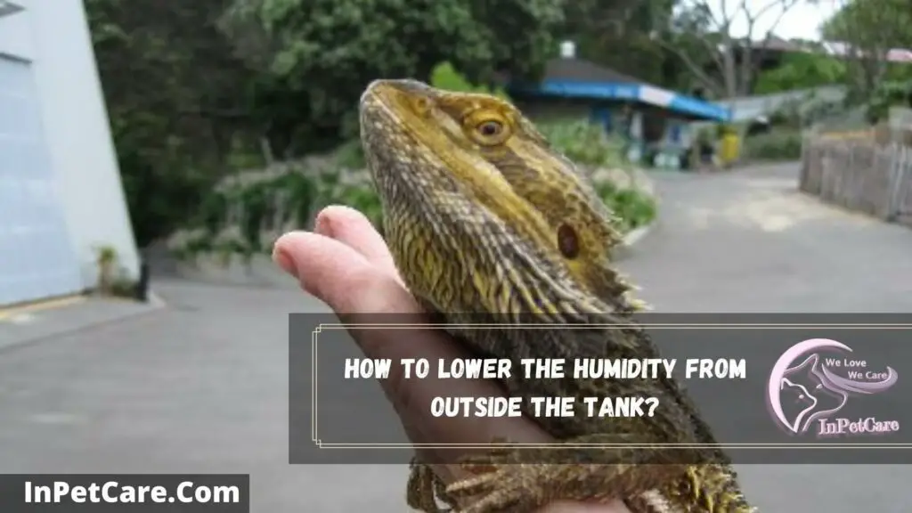 how to lower the humidity from outside the tank
