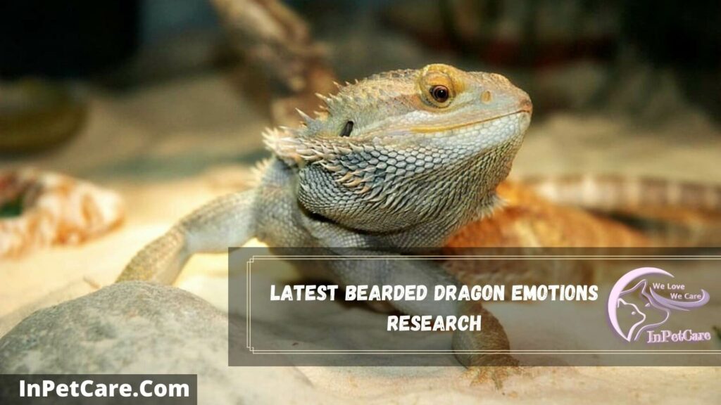 latest bearded dragon emotions research