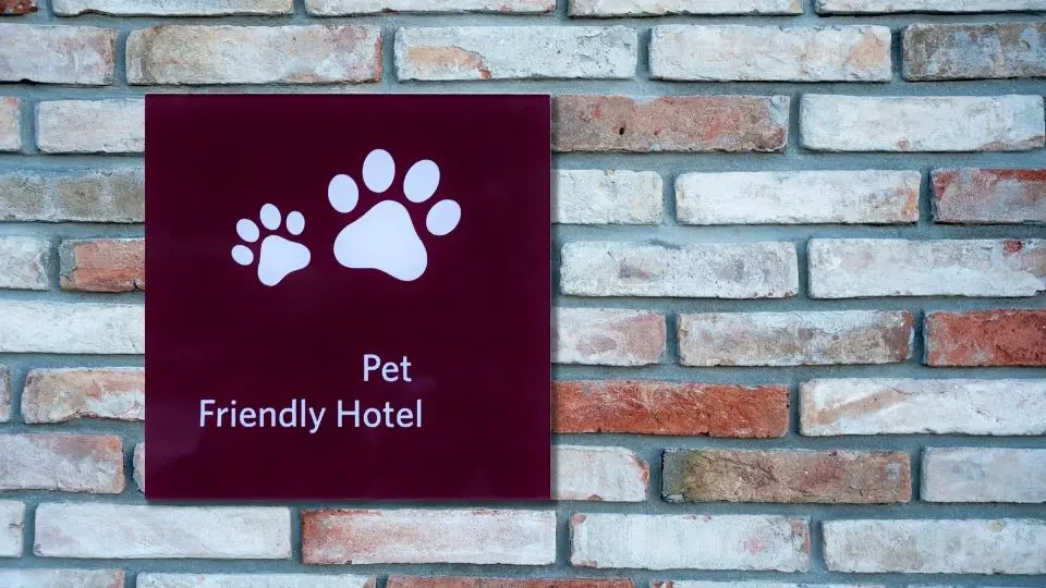pet-friendly hotels booming