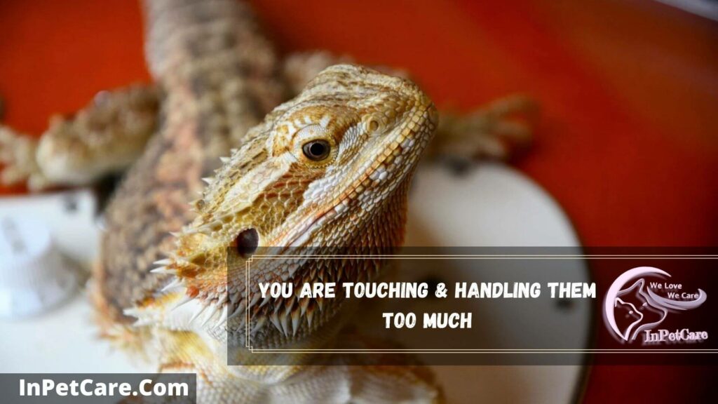 you are touching & handling them too much