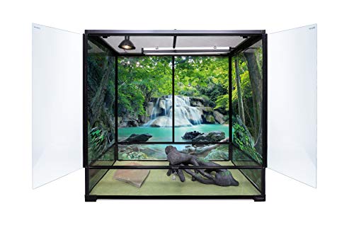 3 Best Tanks For Iguanas: What Size Tank For Iguana?