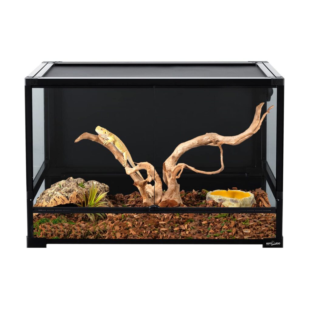 3 Best Tanks For Iguanas: What Size Tank For Iguana?