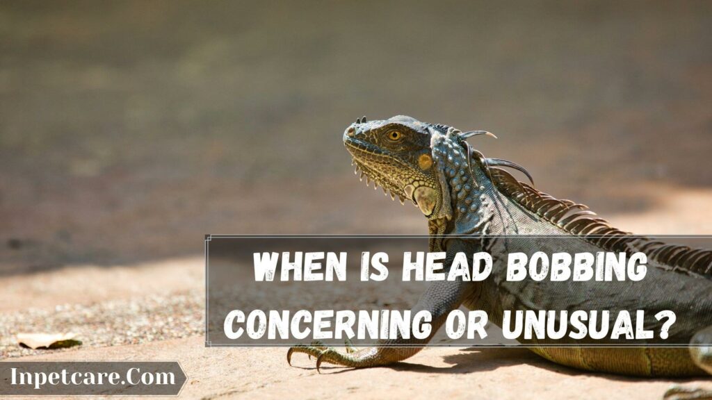 when is head bobbing concerning or unusual