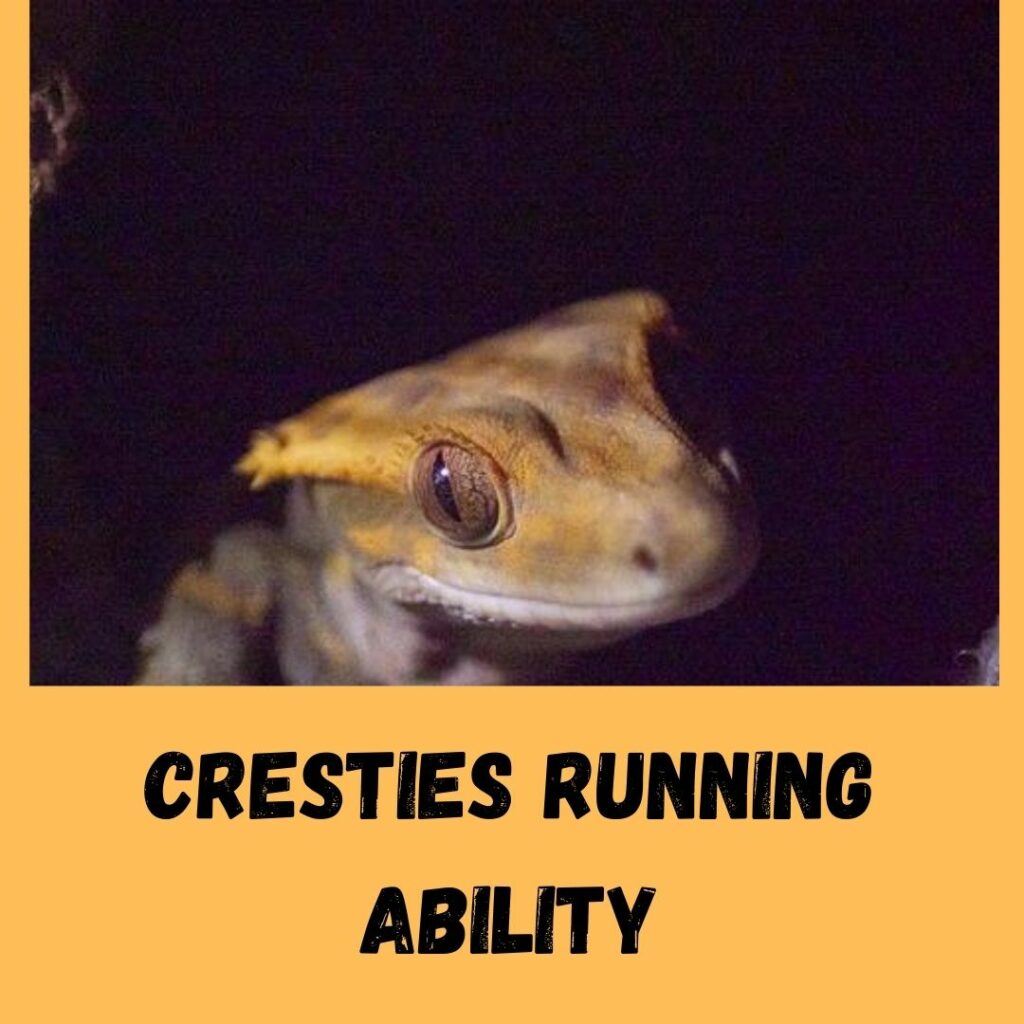 cresties running ability