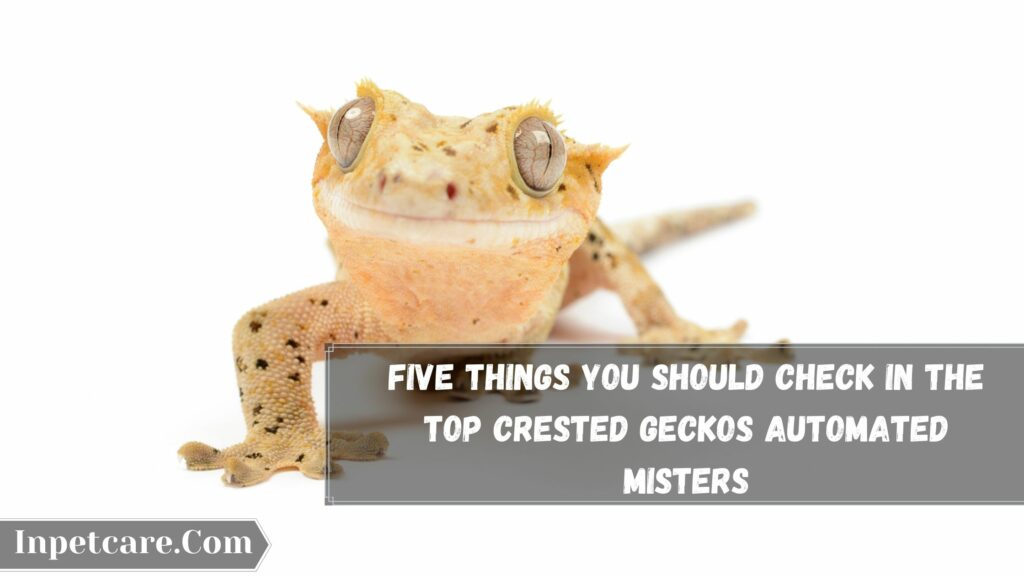 five things you should check in the top crested geckos automated misters