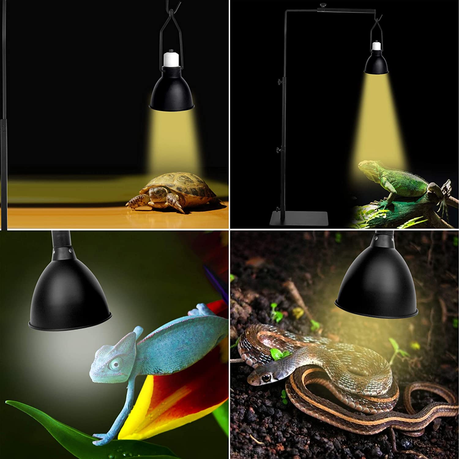 3 Best Heat Lamp For Blue Tongue Skinks Is It Compulsory?