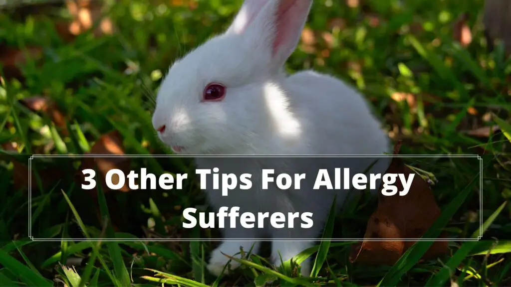 3 other tips for allergy sufferers