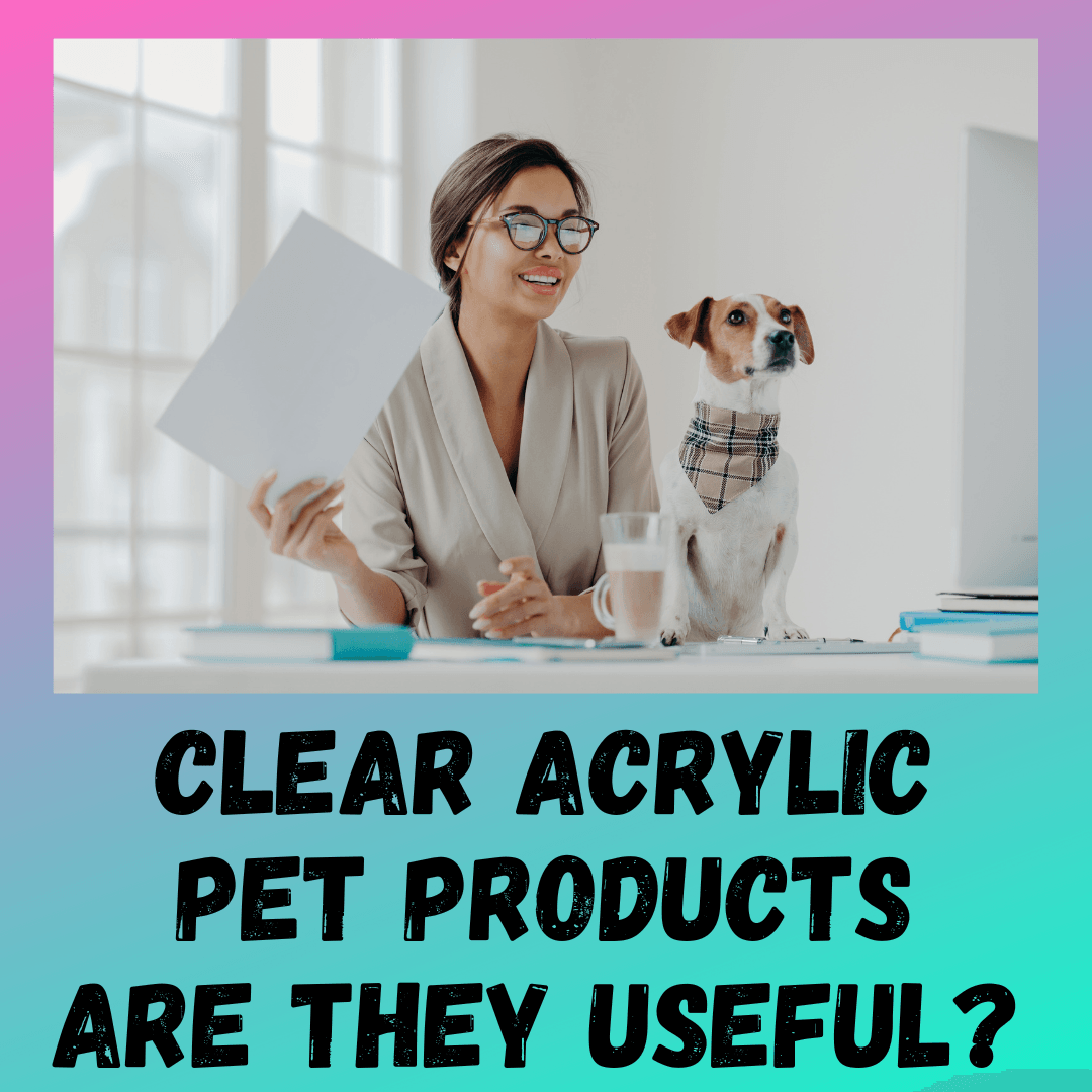 Clear Acrylic Pet Products: Why They Are Perfect?