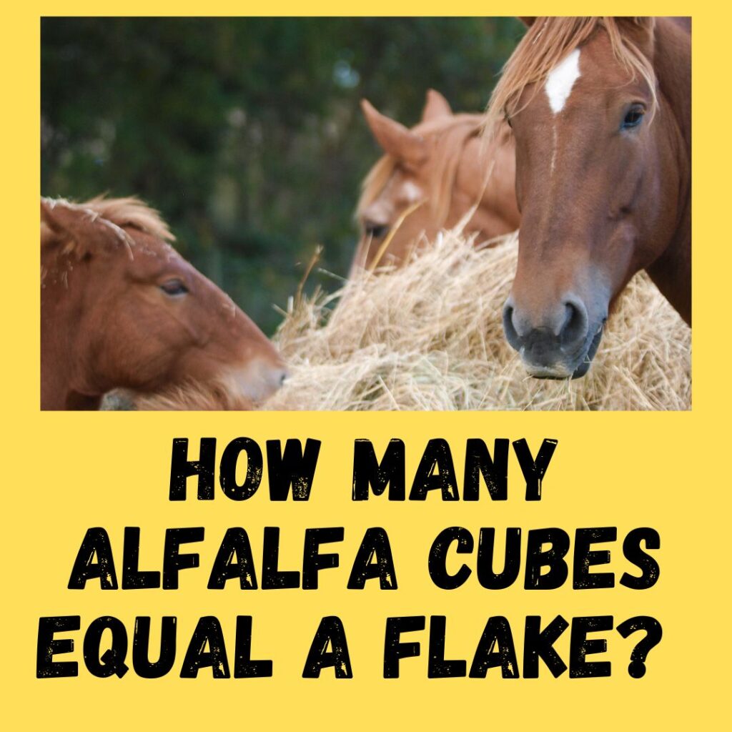 How Many Alfalfa Cubes Equal a Flake Complete Guide