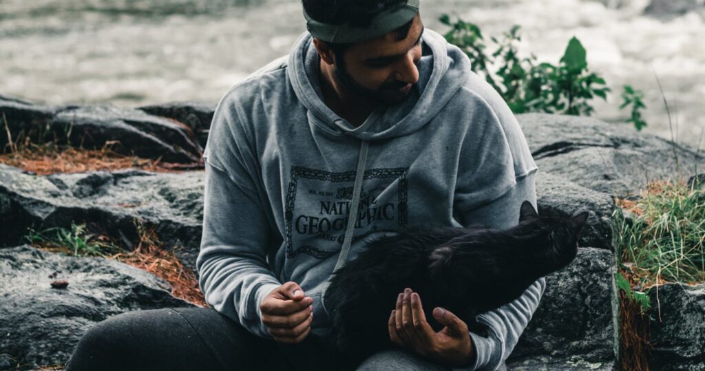 Hiking With Your Cat - How To Make It Hassle-Free?
