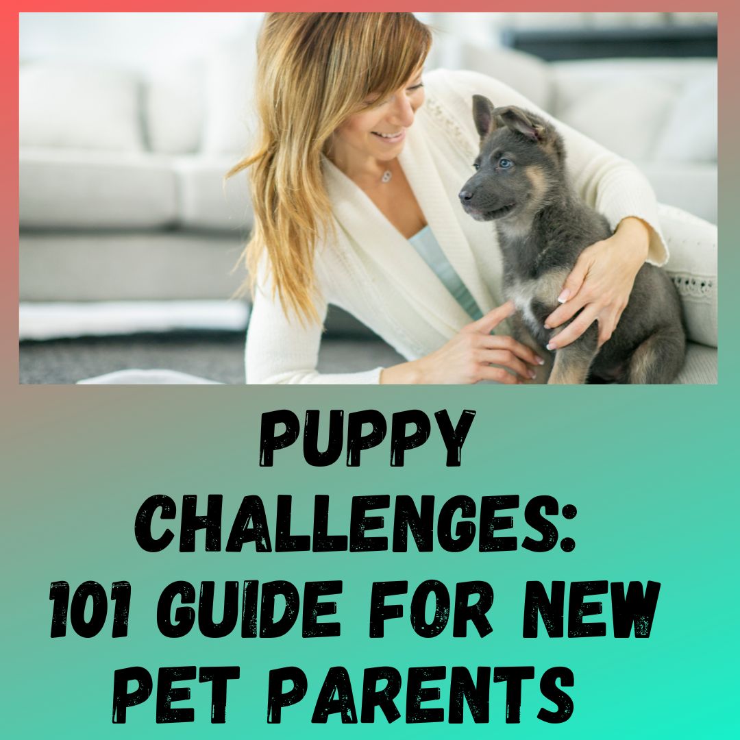 Puppy Challenges: 101 Guide for First-Time Pet Parents  