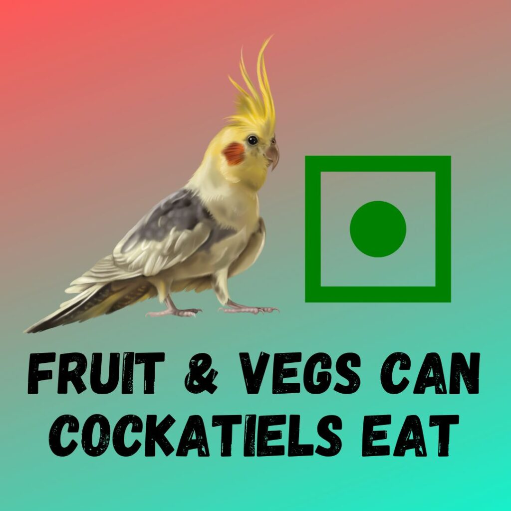 What Fruit And Vegetables Can Cockatiels Eat