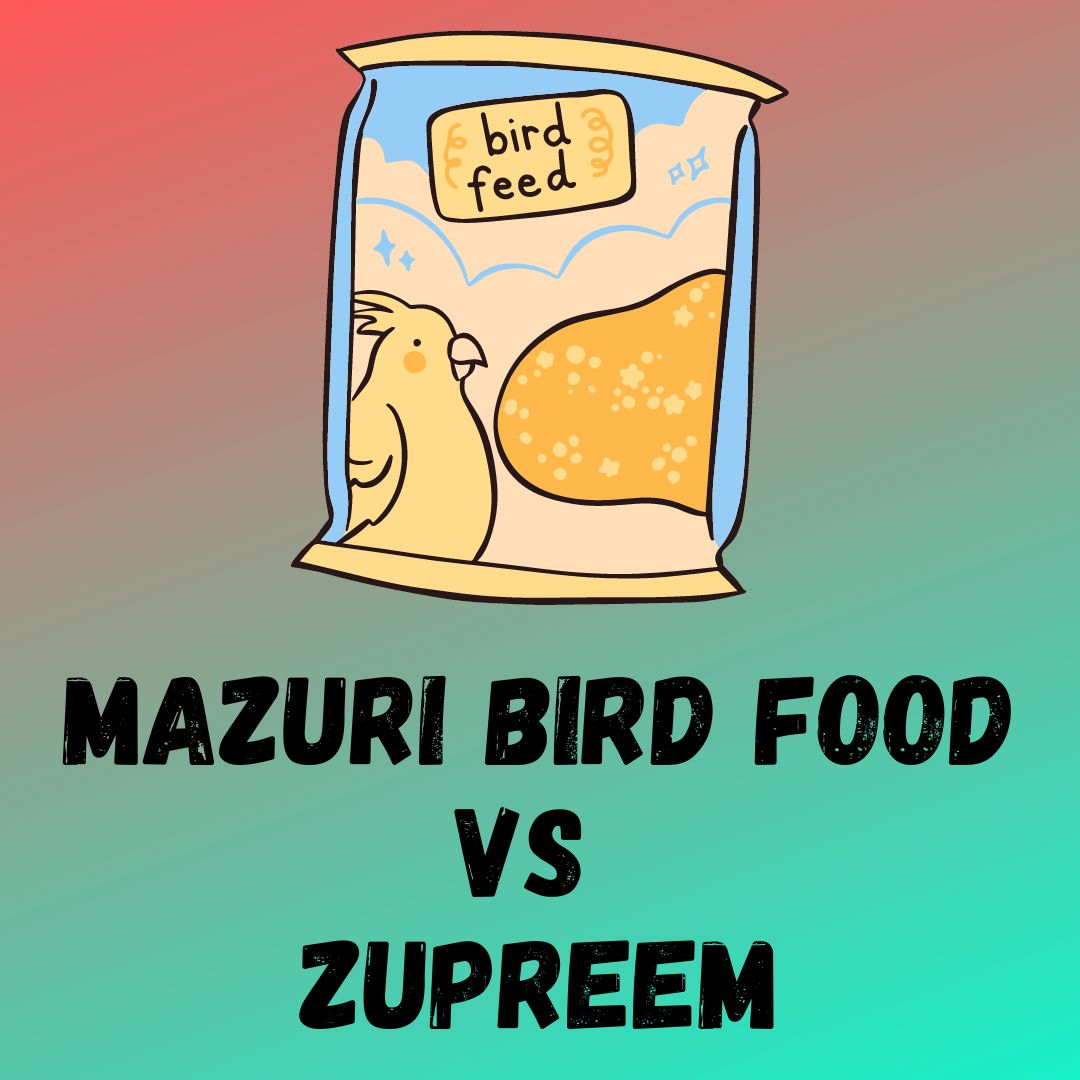 Mazuri Bird Food vs Zupreem